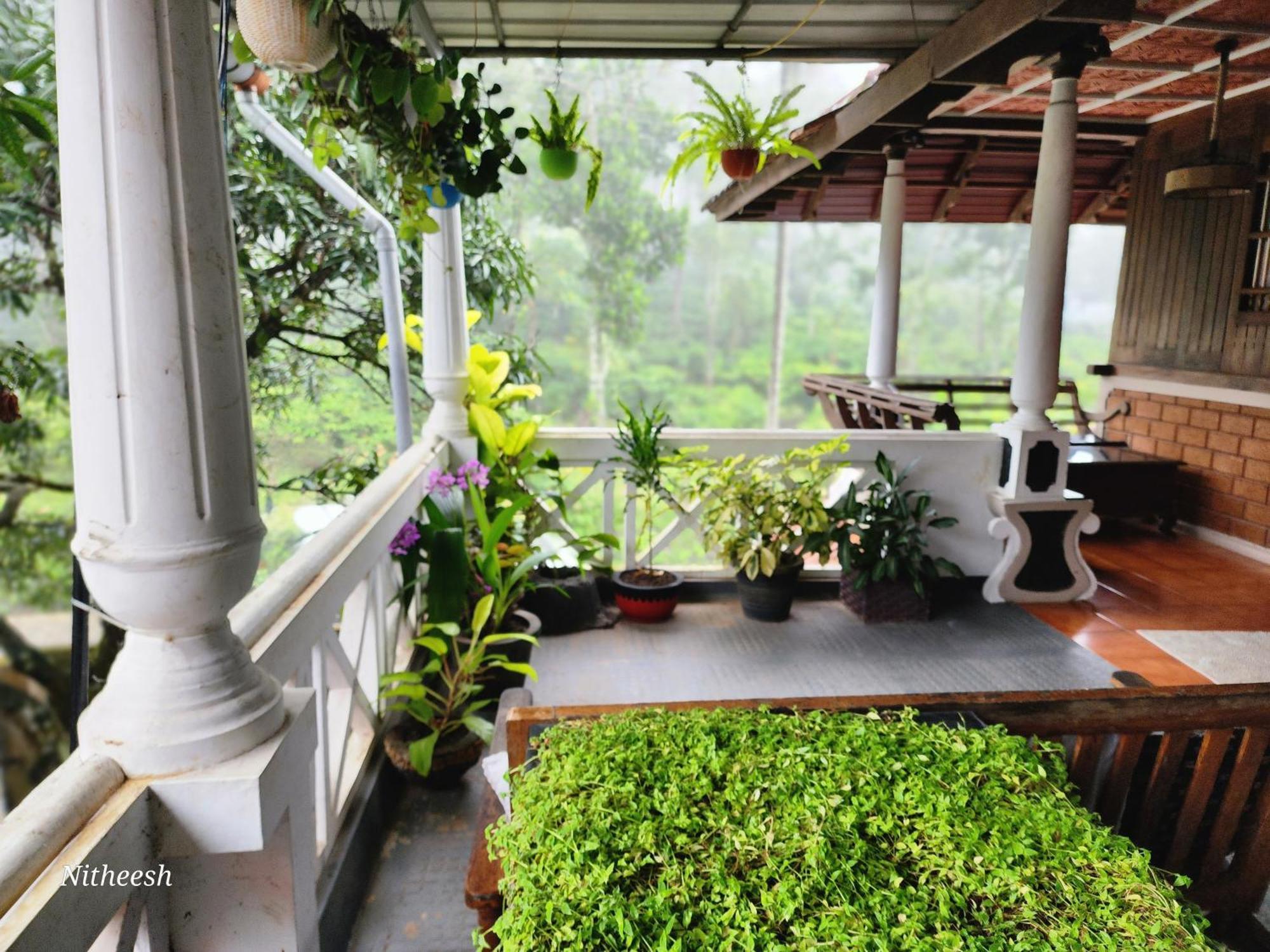 Kairali Palace Home Stay Thekkady Eksteriør bilde
